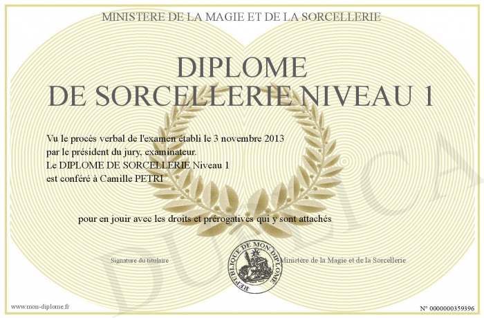 diplome niveau 1